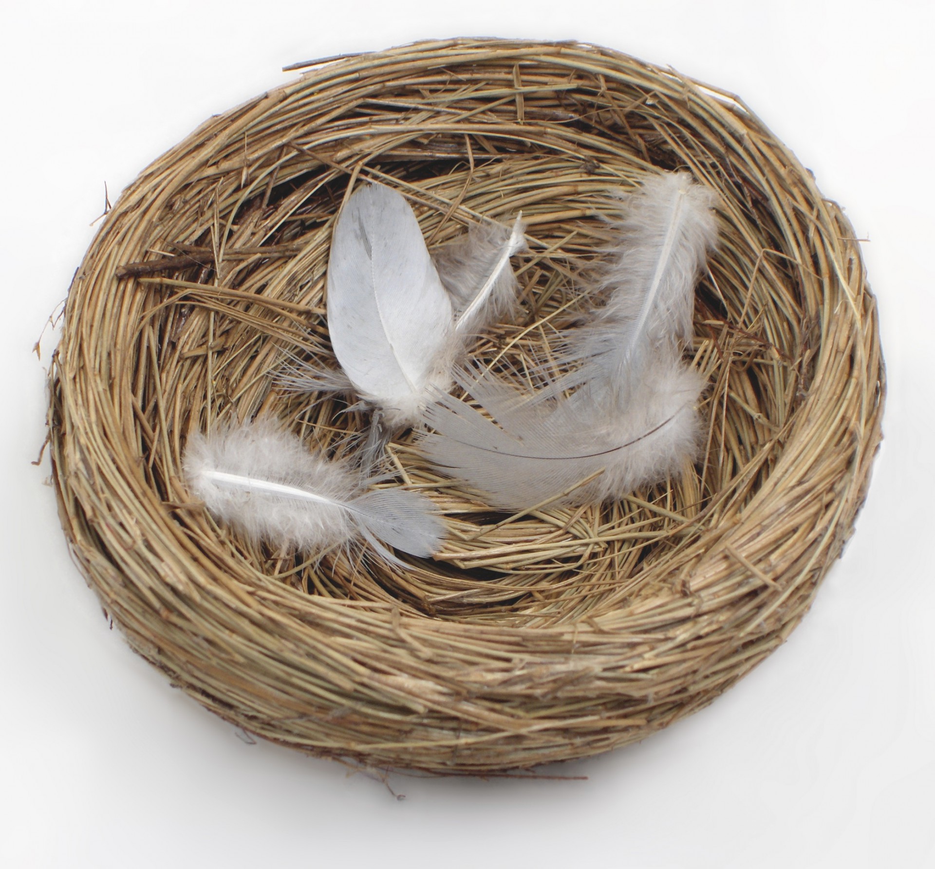 Susie's Empty Nest Syndrome: "It's Why I Wanted To Sell My H...